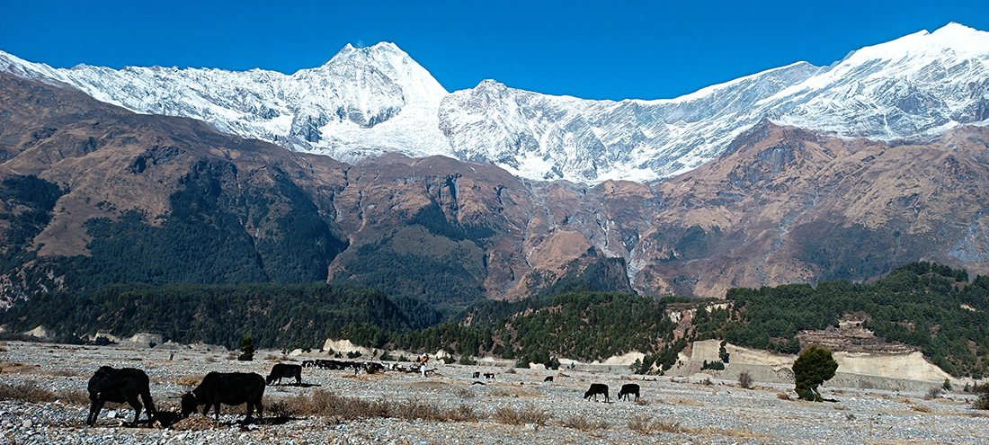 बगरको भर 